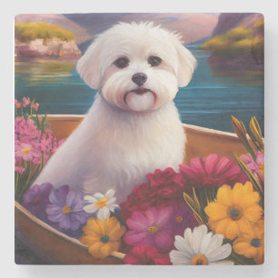 Maltees op een peddel: Een Schilderachtig avontuur Stenen Onderzetter