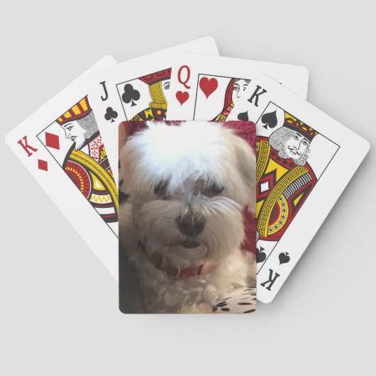 Maltees op speelkaarten (Achterkant)