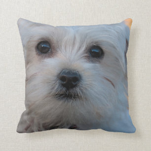 Maltees Pet Dog Sierkussen Home Decor