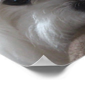 Maltees Poster-Dog-vermogen Poster (Hoek)