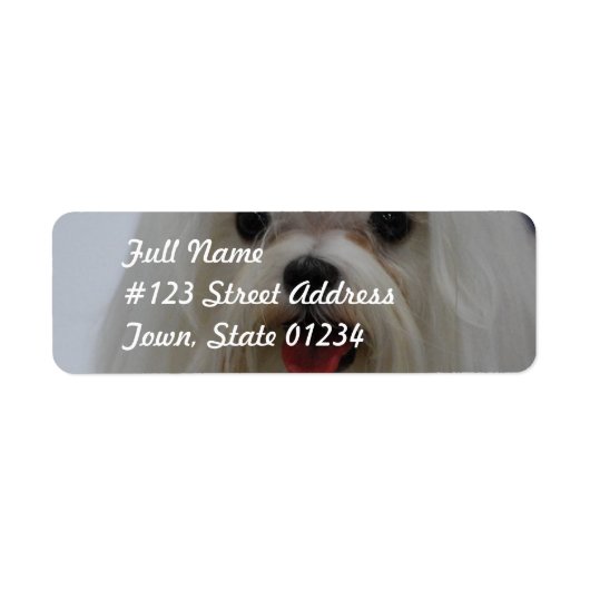 Maltees puppy Mailing Labels (Voorkant)