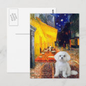 Maltees (R) - Terrace Cafe Briefkaart (Voorkant / Achterkant)