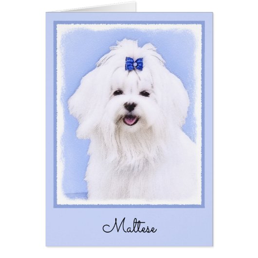 Maltees schilderen - Kute Original Dog Art (Voorkant)