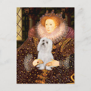 Maltees (SD) - Queen Briefkaart