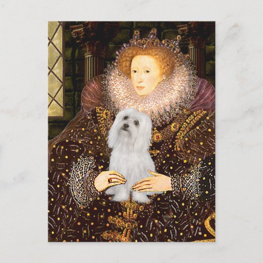 Maltees (SD) - Queen Briefkaart (Voorkant)