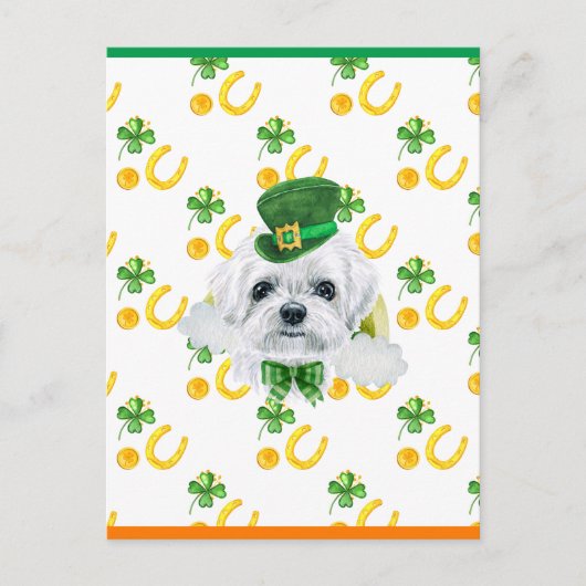 Maltees Shamrock St. Patricks Day Feestdagenkaart (Voorkant)