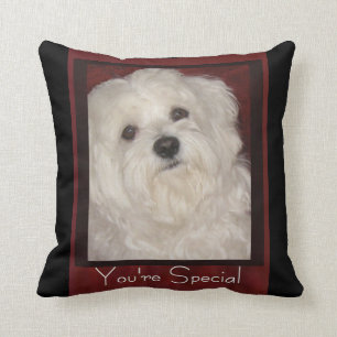 Maltees "You're Special" Pillow-Wht/Black/Burgundy Kussen