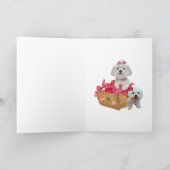 Maltees zijn mijn Valentijn Kaarten (Binnen)