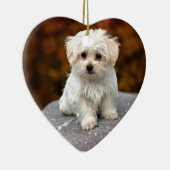 Malteese papaverij, schattig en knuffel keramisch ornament (Rechts)