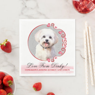 Maltese bruiloft servetten met honden Foto