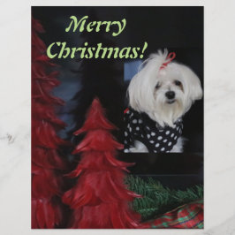 Maltese Christmas Custom Briefhoofd