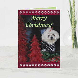 Maltese Christmas Feestdagen Kaart