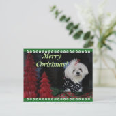 Maltese Christmas Feestdagenkaart (Staand voorkant)