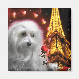 Maltese Dog Eiffel Tower, de SPARK VAN LOVE! Magneet
