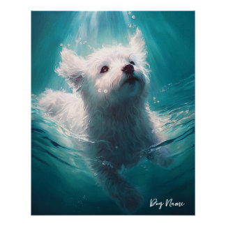 Maltese dog swimming in water 003 perfect poster