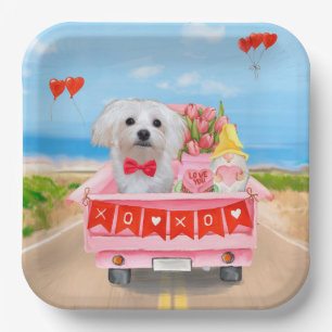 Maltese Dog Valentijnsdag Truck Papieren Bordje