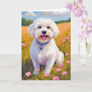 Maltese Hond Bloem Veld Schilderen Kaart