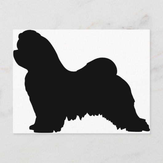 Maltese hond briefkaart (Voorkant)