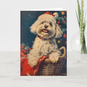 Maltese hond  gepersonaliseerde kerst feestdagen kaart