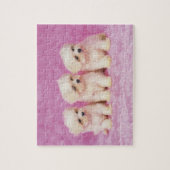 Maltese hond; is een klein ras van witte hond dat legpuzzel (Verticaal)