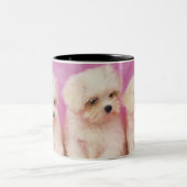 Maltese hond; is een klein ras van witte hond dat tweekleurige koffiemok (Center)