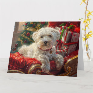 Maltese Hond Kerstfeest Kaart