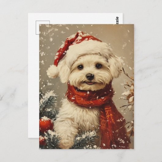 Maltese hond Kerstmis Briefkaart (Voorkant / Achterkant)