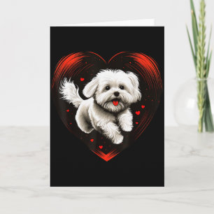 Maltese Hond Liefhart Voor Valentijnsdag Maltese Kaart