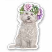Maltese hond met drijvende poot sticker (Voorkant)