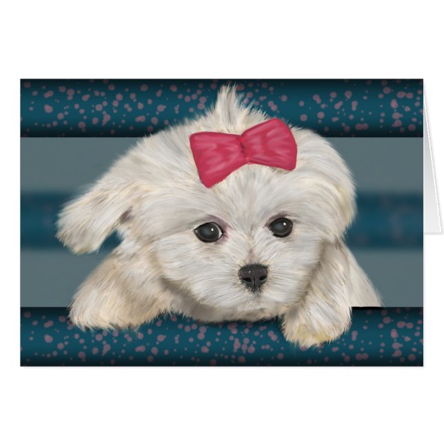 Maltese hond met Kreme Fur en rood lint (Voorkant Horizontaal)