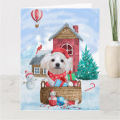 Maltese hond op sneeuwkerstmis kaart (Voorkant)