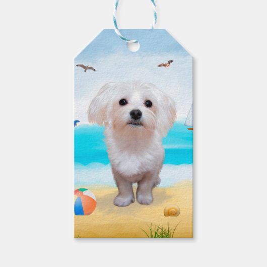 Maltese hond op strand cadeaulabel (Voorkant)