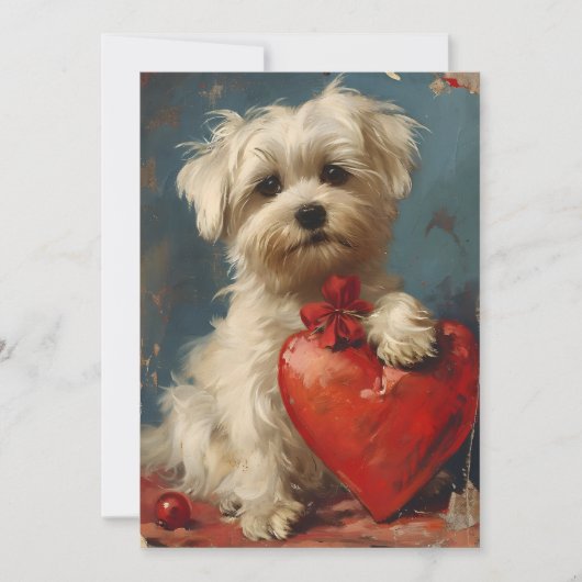 Maltese hond Oudejaarsdag Valentijnsdag Feestdagenkaart (Voorkant)