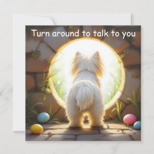 Maltese hond - Pasen Feestdagenkaart