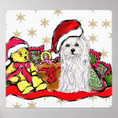 Maltese hond poster (Voorkant)