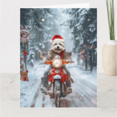 Maltese Hond Rijden Motorfiets Kerstmis Kaart (Voorkant)