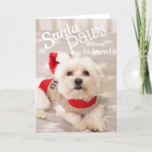Maltese hond Santa Christmas Kaart