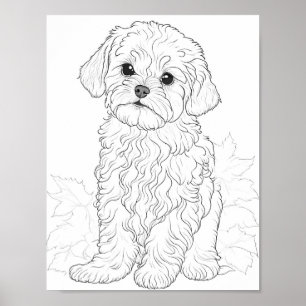 Maltese hond volwassen kleuring poster