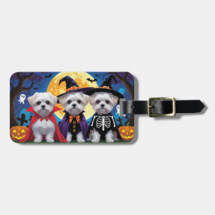 Maltese honden pompoen Halloween grappig Bagagelabel