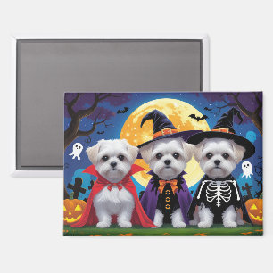 Maltese honden pompoen Halloween grappig Magneet