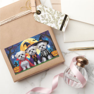 Maltese honden pompoen Halloween grappig Rechthoekige Sticker