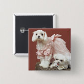 Maltese honden vierkante button 5,1 cm (Voorkant /achterkant)