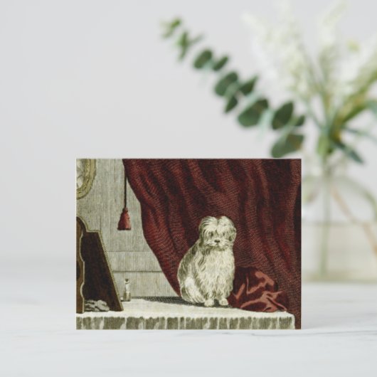 Maltese Kaart van Dog Drawing Post (Staand voorkant)