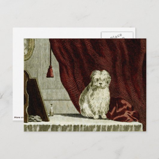 Maltese Kaart van Dog Drawing Post (Voorkant / Achterkant)