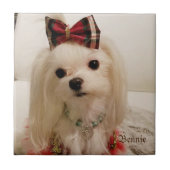 Maltese keramische tegel tegeltje (Voorkant)