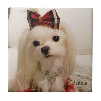 Maltese keramische tegel tegeltje