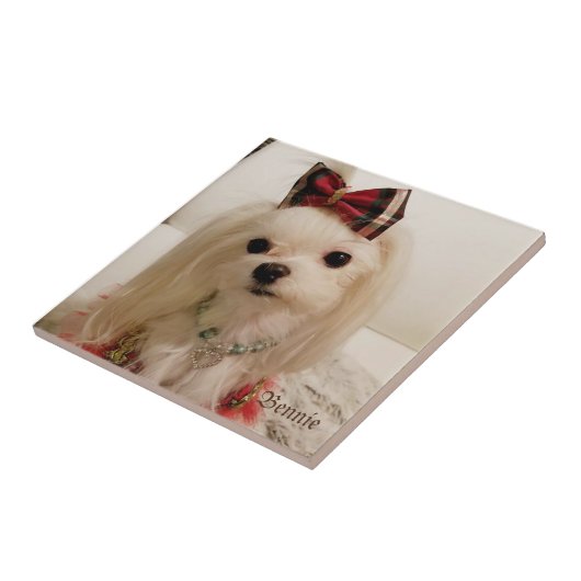 Maltese keramische tegel tegeltje (Zijkant)