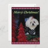 Maltese Kerstmis Feestdagenkaart (Voorkant / Achterkant)