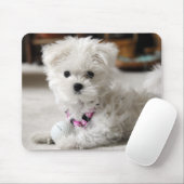 Maltese liefde muismat (Met muis)