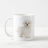 Maltese Mok (Links)